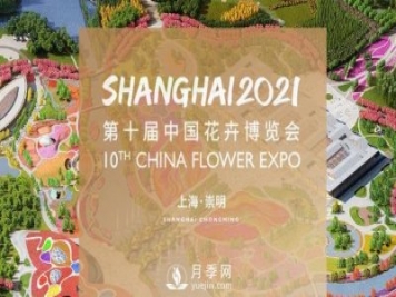 5月，第十届中国花博会将在崇明拉开帷幕