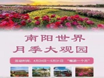 第十二届南阳月季花会4月29日开幕，活动丰富多彩