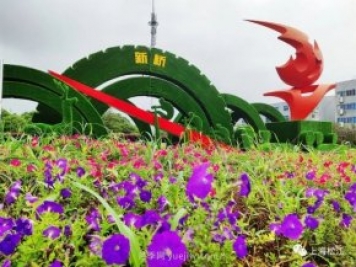 上海松江这里的花坛、花境“上新”啦!特色景观升级!