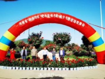 河南省四优四化项目 助推南阳月季、栀子产业发展