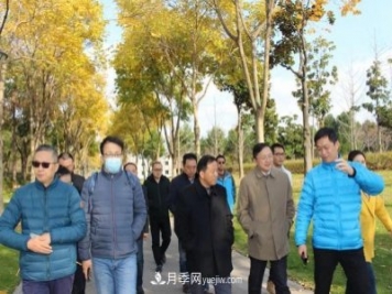 提升城市园林绿化，苏州向上海学什么？